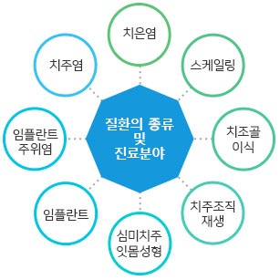 질환의 종류 및 진료 분야