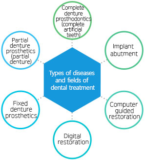 Types of diseases and fields of dental treatment 
Complete denture prosthodontics (complete artificial teeth), implant abutment, computer guided restoration, digital restoration, fixed denture prosthetics, partial denture prosthetics (partial 
denture.)